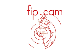 FIPCAM
